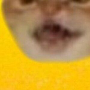 Meet your Posher, An